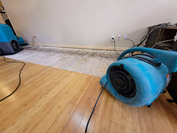 Professional Water Removal technician working in Carrollton, VA